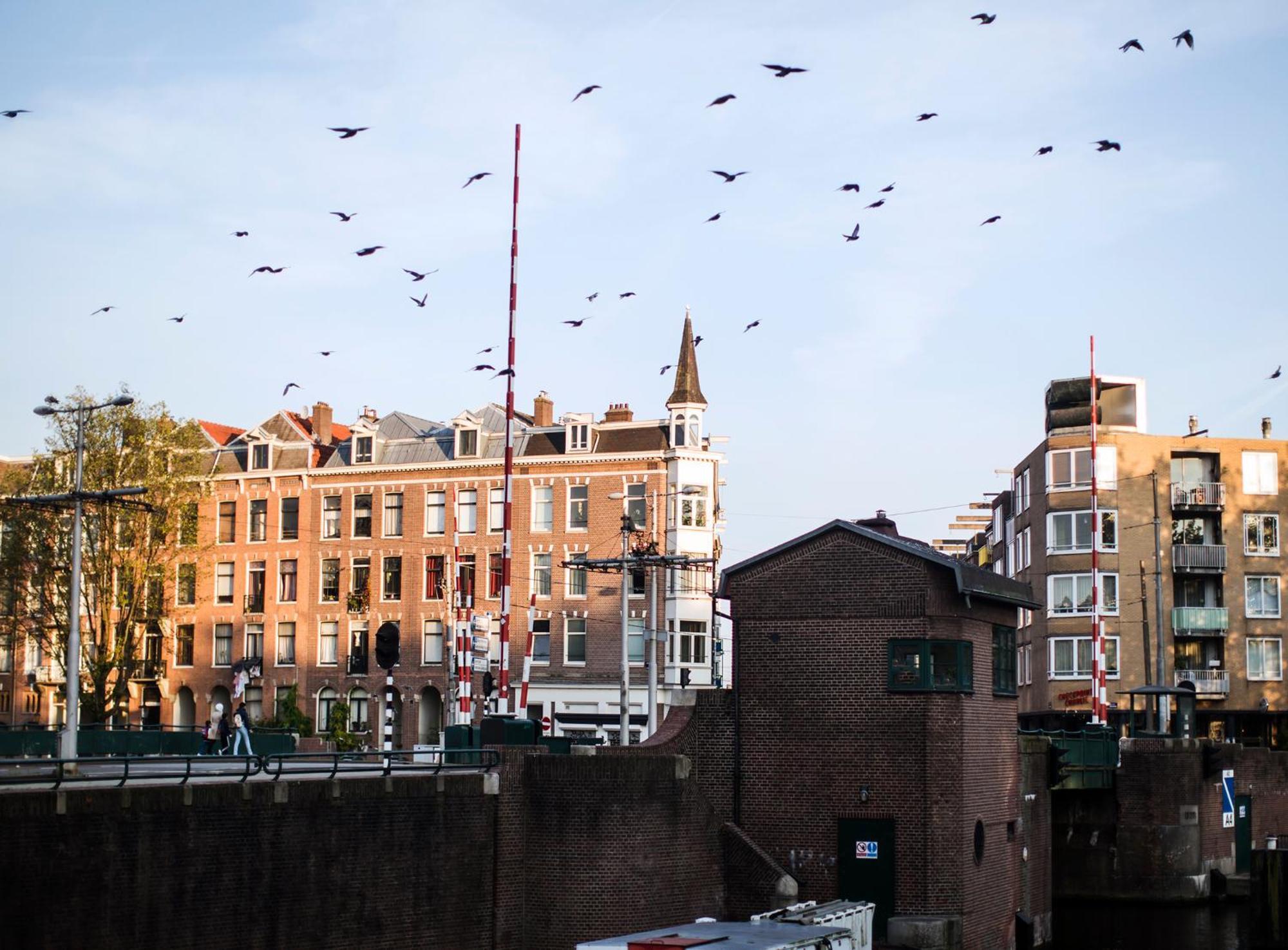 Sweets - Kattenslootbrug Appartement Amsterdam